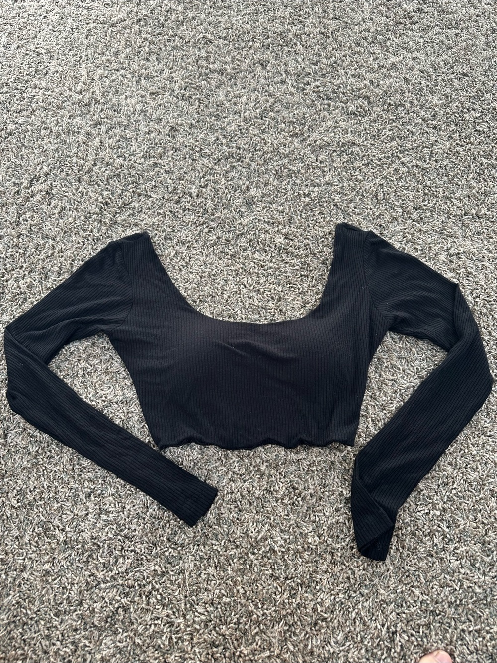 Black Long Sleeve Scoop Neck Cropped Top